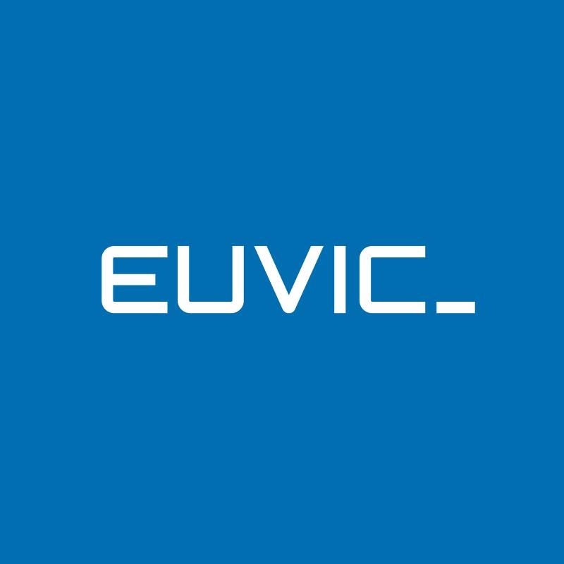 Euvic Group Targets Ukrainian Tech Companies for Integration with $2.5 Million Budget